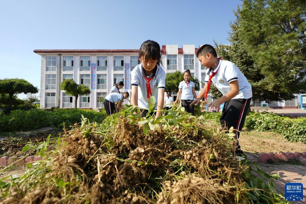 宝马 网址